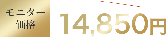 モニター価格 通常価格16,500円が14,850円に